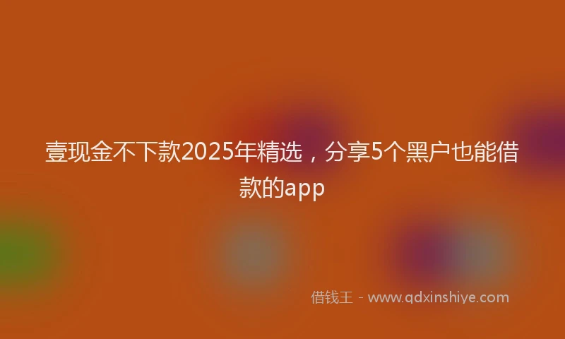 壹现金不下款2025年精选，分享5个黑户也能借款的app