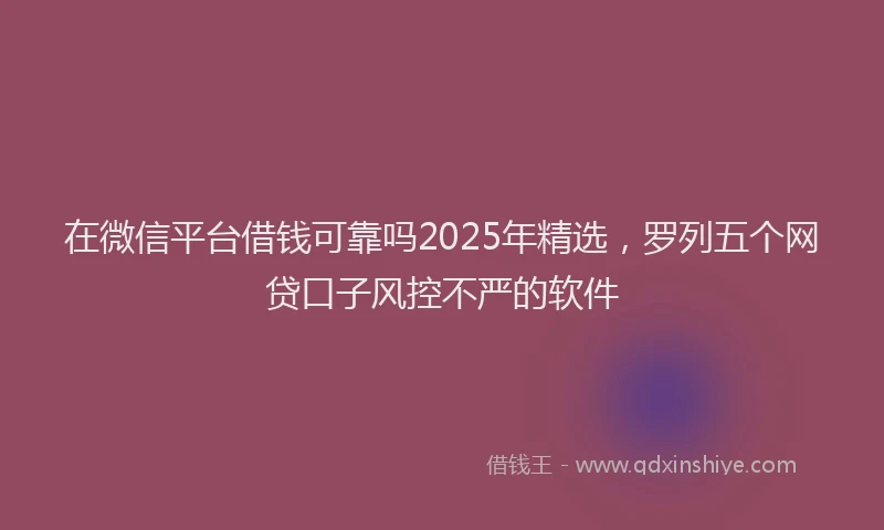 在微信平台借钱可靠吗2025年精选，罗列五个网贷口子风控不严的软件