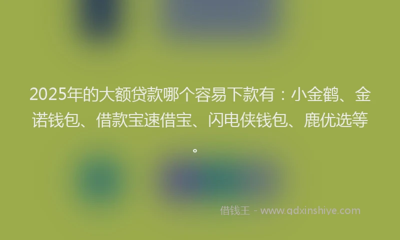 2025年的大额贷款哪个容易下款有：小金鹤、金诺钱包、借款宝速借宝、闪电侠钱包、鹿优选等。