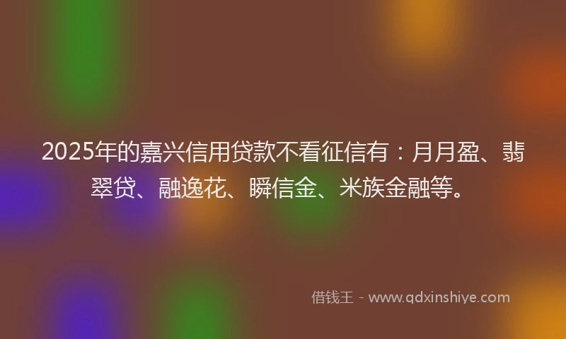 2025年的嘉兴信用贷款不看征信有：月月盈、翡翠贷、融逸花、瞬信金、米族金融等。
