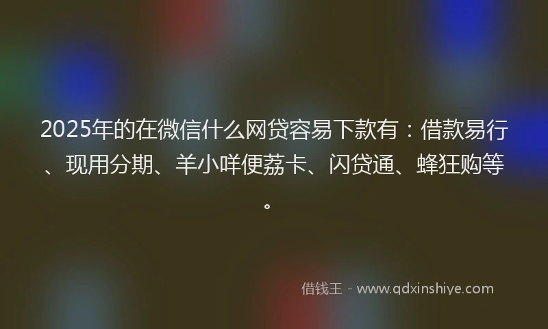 2025年的在微信什么网贷容易下款有：借款易行、现用分期、羊小咩便荔卡、闪贷通、蜂狂购等。