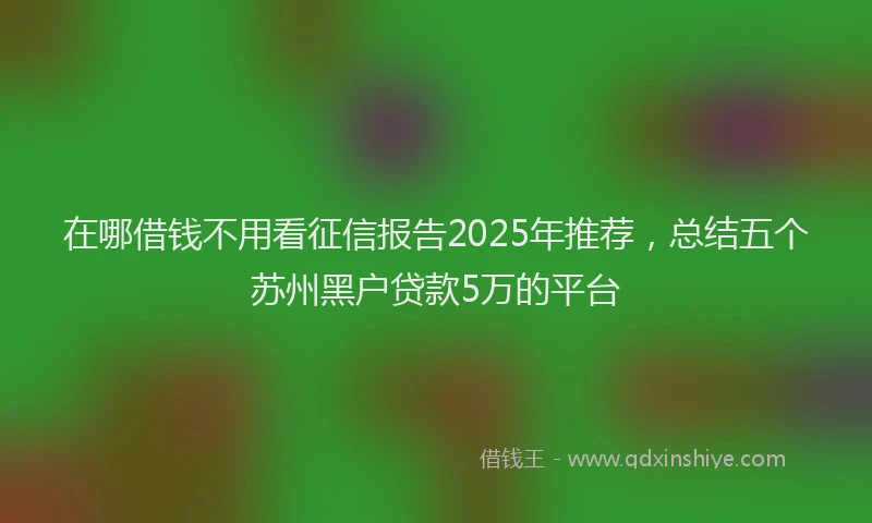 在哪借钱不用看征信报告2025年推荐，总结五个苏州黑户贷款5万的平台