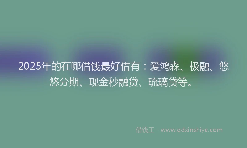 2025年的在哪借钱最好借有：爱鸿森、极融、悠悠分期、现金秒融贷、琉璃贷等。