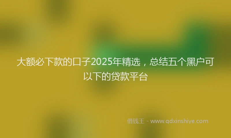 大额必下款的口子2025年精选，总结五个黑户可以下的贷款平台