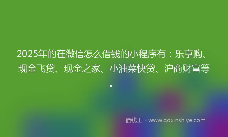 2025年的在微信怎么借钱的小程序有：乐享购、现金飞贷、现金之家、小油菜快贷、沪商财富等。