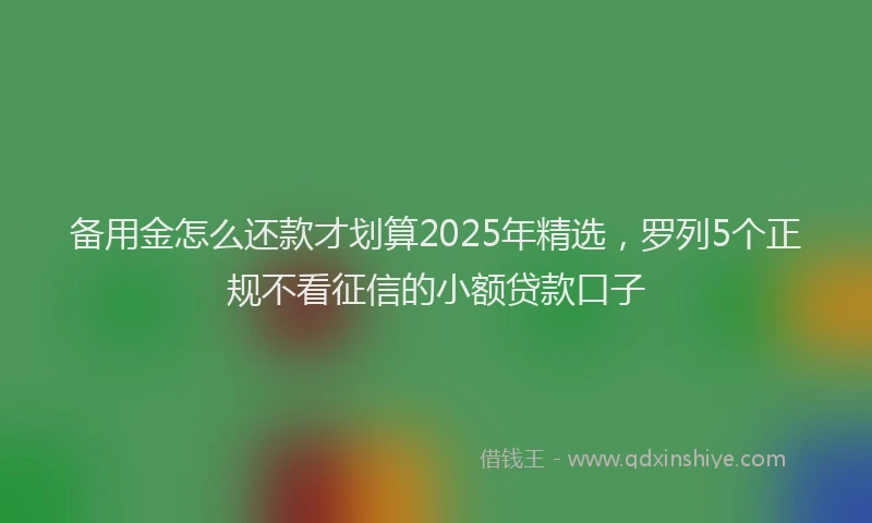 备用金怎么还款才划算2025年精选，罗列5个正规不看征信的小额贷款口子