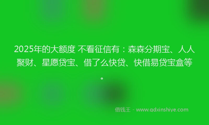 2025年的大额度 不看征信有：森森分期宝、人人聚财、星愿贷宝、借了么快贷、快借易贷宝盒等。