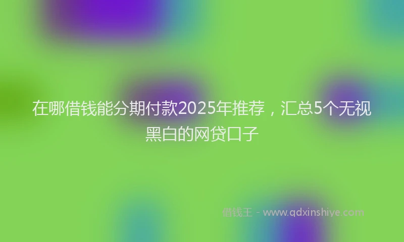 在哪借钱能分期付款2025年推荐，汇总5个无视黑白的网贷口子