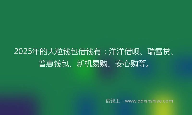 2025年的大粒钱包借钱有：洋洋借呗、瑞雪贷、普惠钱包、新机易购、安心购等。