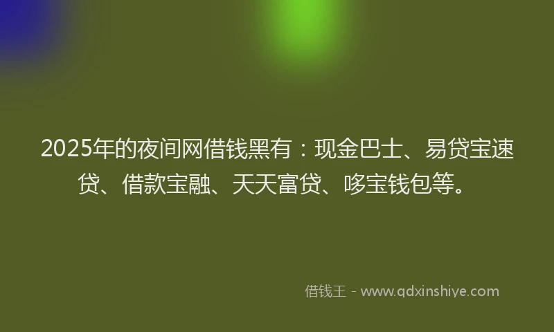 2025年的夜间网借钱黑有：现金巴士、易贷宝速贷、借款宝融、天天富贷、哆宝钱包等。