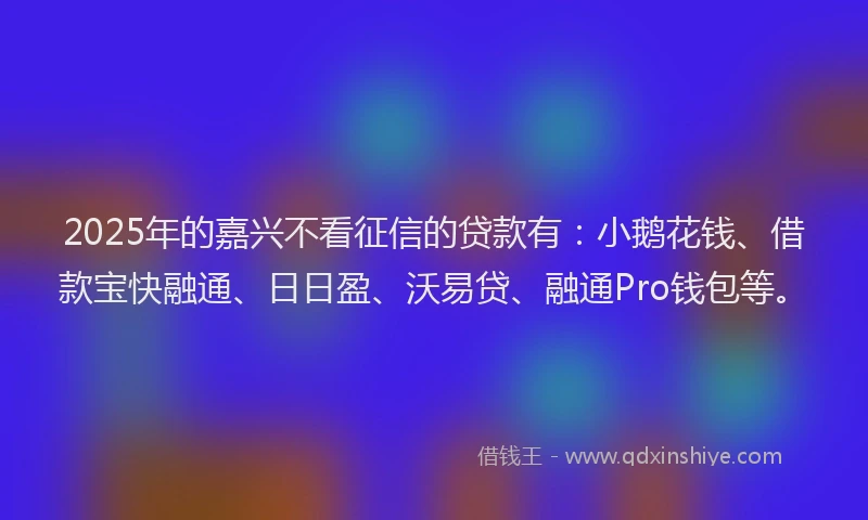 2025年的嘉兴不看征信的贷款有：小鹅花钱、借款宝快融通、日日盈、沃易贷、融通Pro钱包等。