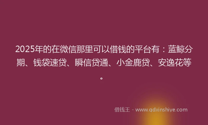 2025年的在微信那里可以借钱的平台有：蓝鲸分期、钱袋速贷、瞬信贷通、小金鹿贷、安逸花等。