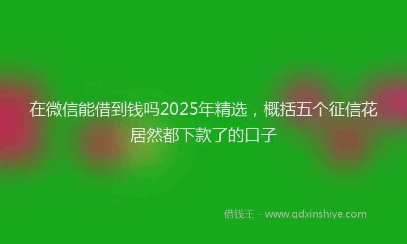 在微信能借到钱吗2025年精选，概括五个征信花居然都下款了的口子
