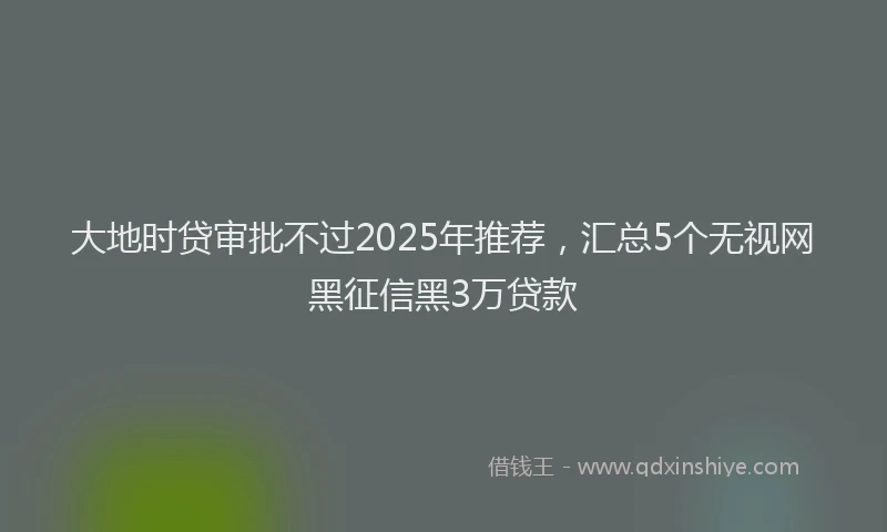大地时贷审批不过2025年推荐，汇总5个无视网黑征信黑3万贷款