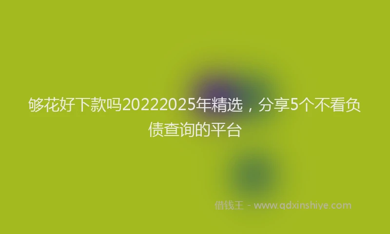 够花好下款吗20222025年精选，分享5个不看负债查询的平台
