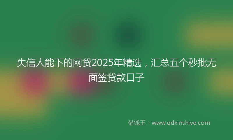 失信人能下的网贷2025年精选，汇总五个秒批无面签贷款口子