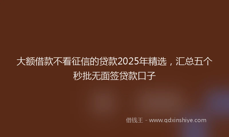 大额借款不看征信的贷款2025年精选，汇总五个秒批无面签贷款口子