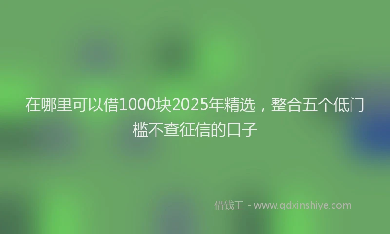 在哪里可以借1000块2025年精选，整合五个低门槛不查征信的口子
