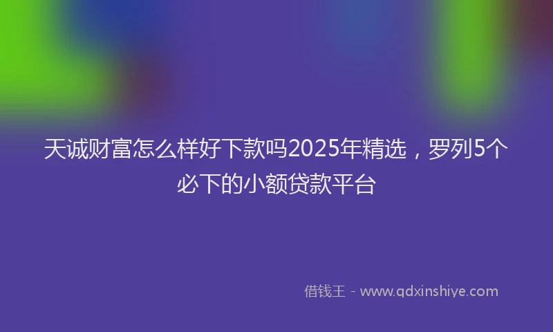 天诚财富怎么样好下款吗2025年精选，罗列5个必下的小额贷款平台