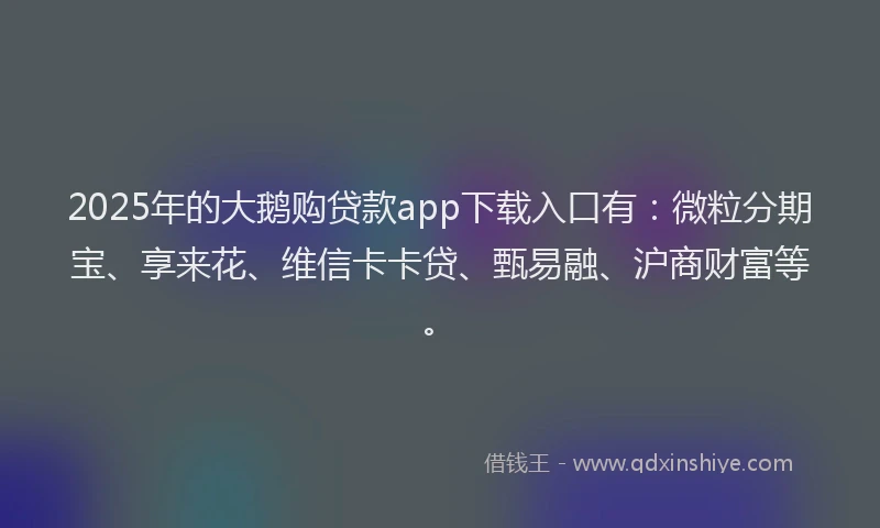 2025年的大鹅购贷款app下载入口有：微粒分期宝、享来花、维信卡卡贷、甄易融、沪商财富等。