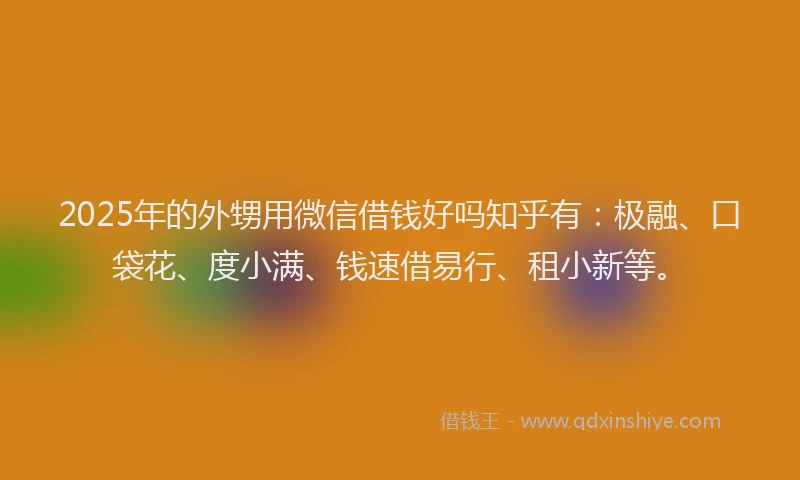 2025年的外甥用微信借钱好吗知乎有：极融、口袋花、度小满、钱速借易行、租小新等。