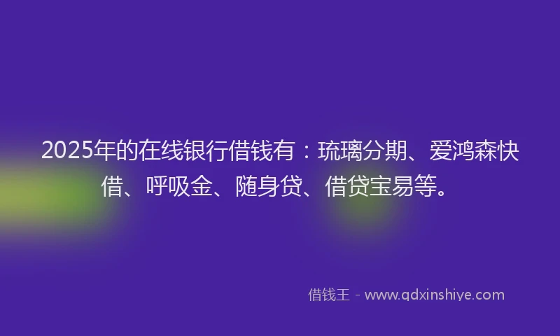 2025年的在线银行借钱有：琉璃分期、爱鸿森快借、呼吸金、随身贷、借贷宝易等。