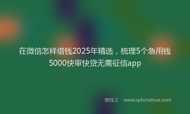 在微信怎样借钱2025年精选，梳理5个急用钱5000快审快贷无需征信app