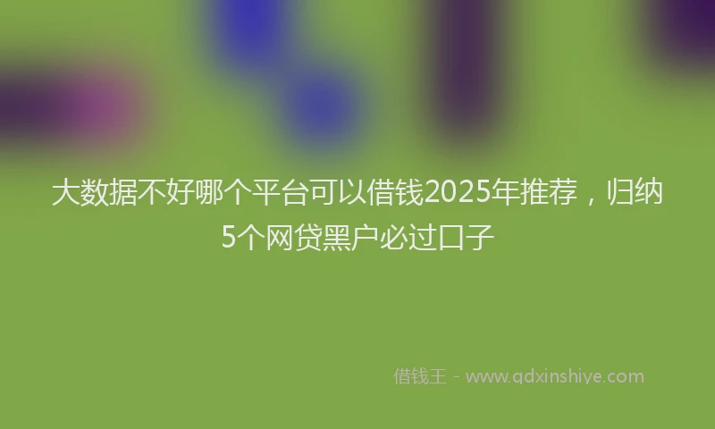 大数据不好哪个平台可以借钱2025年推荐，归纳5个网贷黑户必过口子