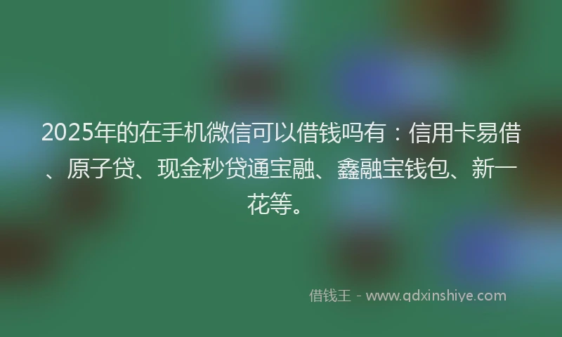 2025年的在手机微信可以借钱吗有：信用卡易借、原子贷、现金秒贷通宝融、鑫融宝钱包、新一花等。