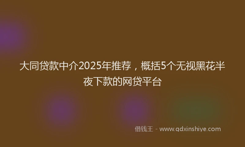 大同贷款中介2025年推荐，概括5个无视黑花半夜下款的网贷平台
