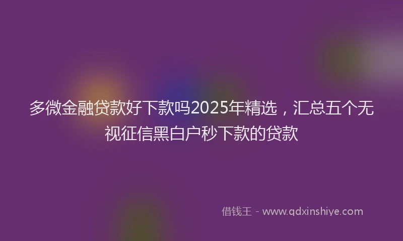 多微金融贷款好下款吗2025年精选，汇总五个无视征信黑白户秒下款的贷款