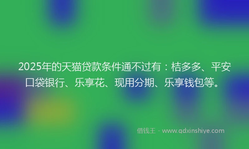2025年的天猫贷款条件通不过有：桔多多、平安口袋银行、乐享花、现用分期、乐享钱包等。