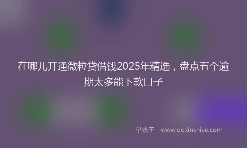 在哪儿开通微粒贷借钱2025年精选，盘点五个逾期太多能下款口子