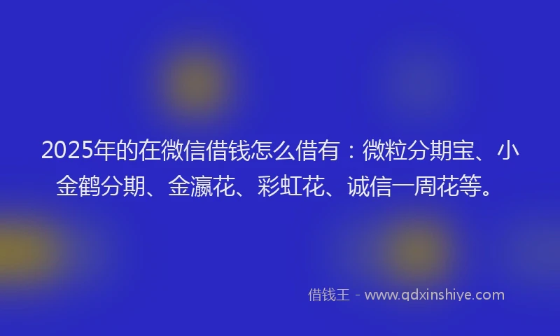 2025年的在微信借钱怎么借有：微粒分期宝、小金鹤分期、金瀛花、彩虹花、诚信一周花等。
