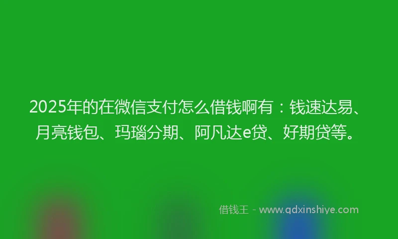2025年的在微信支付怎么借钱啊有：钱速达易、月亮钱包、玛瑙分期、阿凡达e贷、好期贷等。