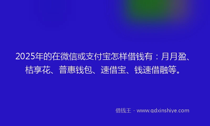 2025年的在微信或支付宝怎样借钱有：月月盈、桔享花、普惠钱包、速借宝、钱速借融等。