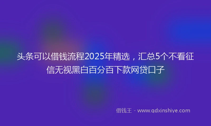 头条可以借钱流程2025年精选，汇总5个不看征信无视黑白百分百下款网贷口子