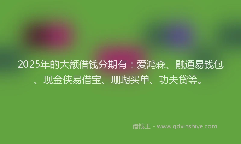 2025年的大额借钱分期有：爱鸿森、融通易钱包、现金侠易借宝、珊瑚买单、功夫贷等。