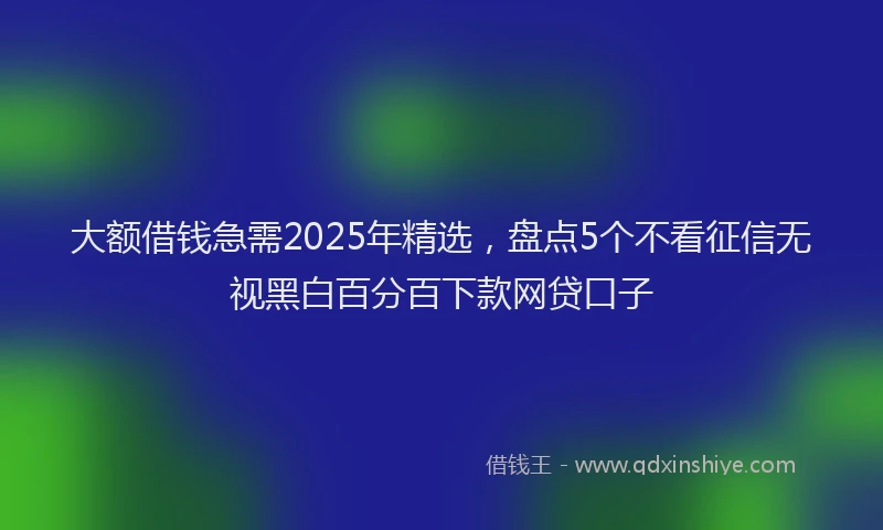 大额借钱急需2025年精选，盘点5个不看征信无视黑白百分百下款网贷口子