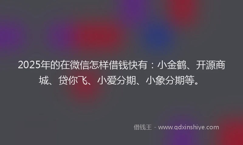 2025年的在微信怎样借钱快有：小金鹤、开源商城、贷你飞、小爱分期、小象分期等。