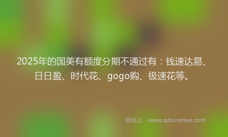 2025年的国美有额度分期不通过有：钱速达易、日日盈、时代花、gogo购、极速花等。