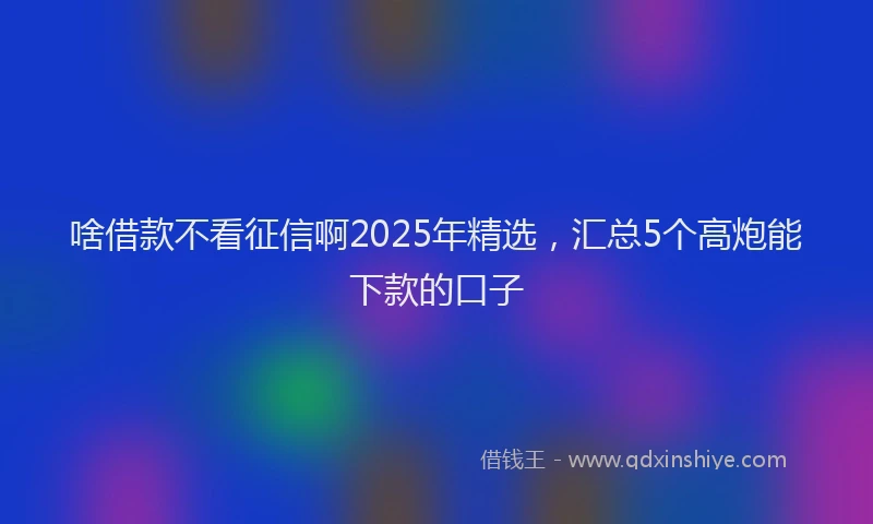 啥借款不看征信啊2025年精选，汇总5个高炮能下款的口子