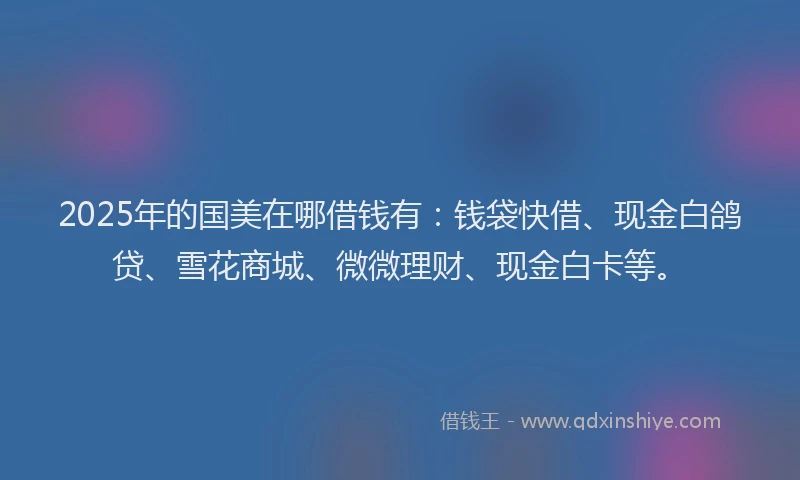 2025年的国美在哪借钱有：钱袋快借、现金白鸽贷、雪花商城、微微理财、现金白卡等。