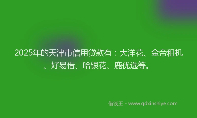 2025年的天津市信用贷款有：大洋花、金帝租机、好易借、哈银花、鹿优选等。