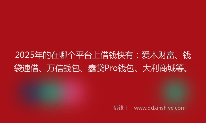 2025年的在哪个平台上借钱快有：爱木财富、钱袋速借、万信钱包、鑫贷Pro钱包、大利商城等。
