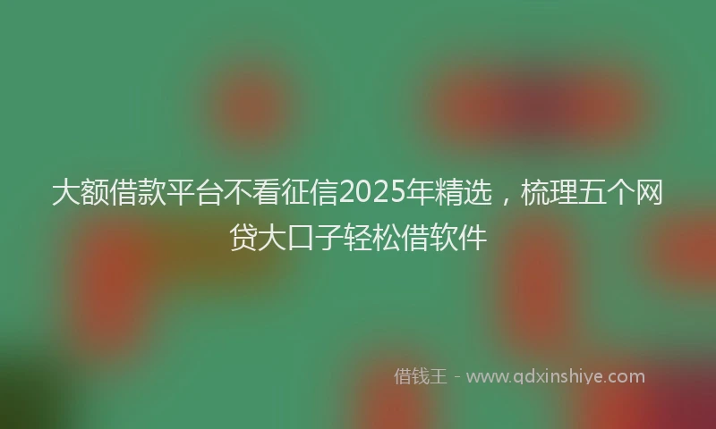 大额借款平台不看征信2025年精选，梳理五个网贷大口子轻松借软件