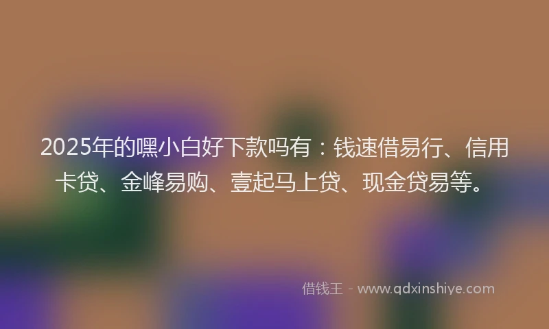 2025年的嘿小白好下款吗有：钱速借易行、信用卡贷、金峰易购、壹起马上贷、现金贷易等。