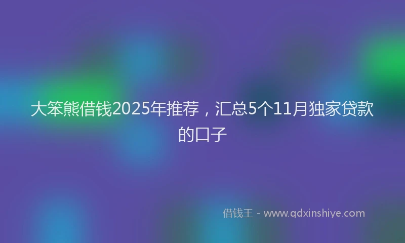 大笨熊借钱2025年推荐，汇总5个11月独家贷款的口子