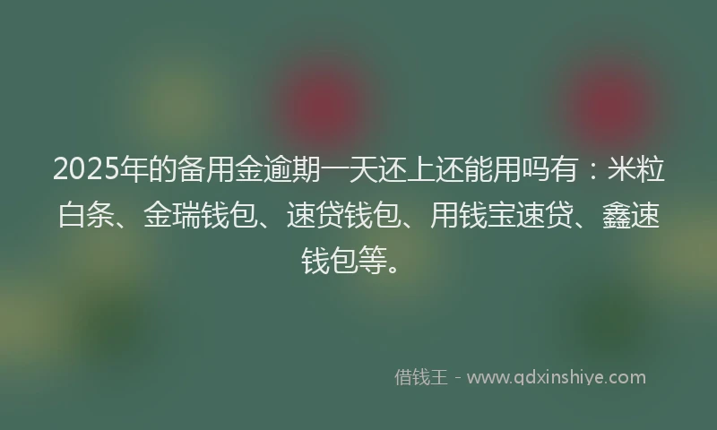 2025年的备用金逾期一天还上还能用吗有：米粒白条、金瑞钱包、速贷钱包、用钱宝速贷、鑫速钱包等。