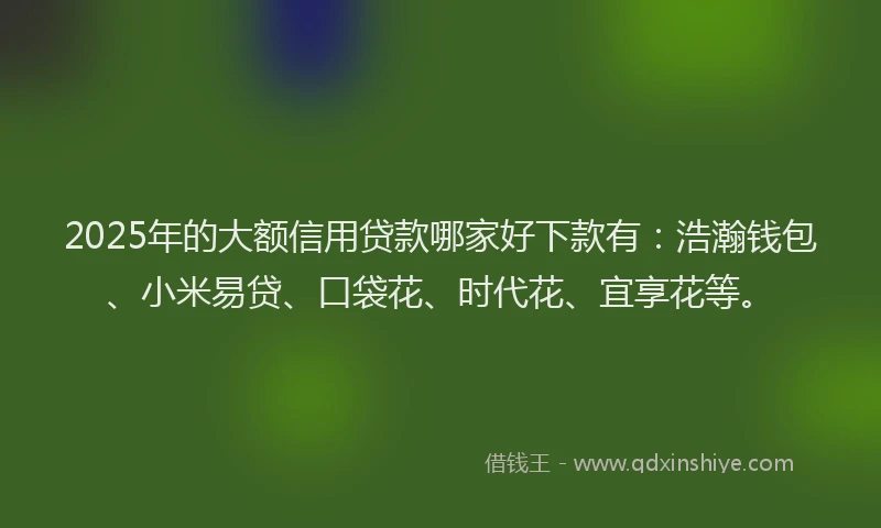 2025年的大额信用贷款哪家好下款有：浩瀚钱包、小米易贷、口袋花、时代花、宜享花等。